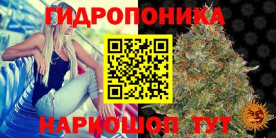 прущие крисы Ликино-Дулёво
