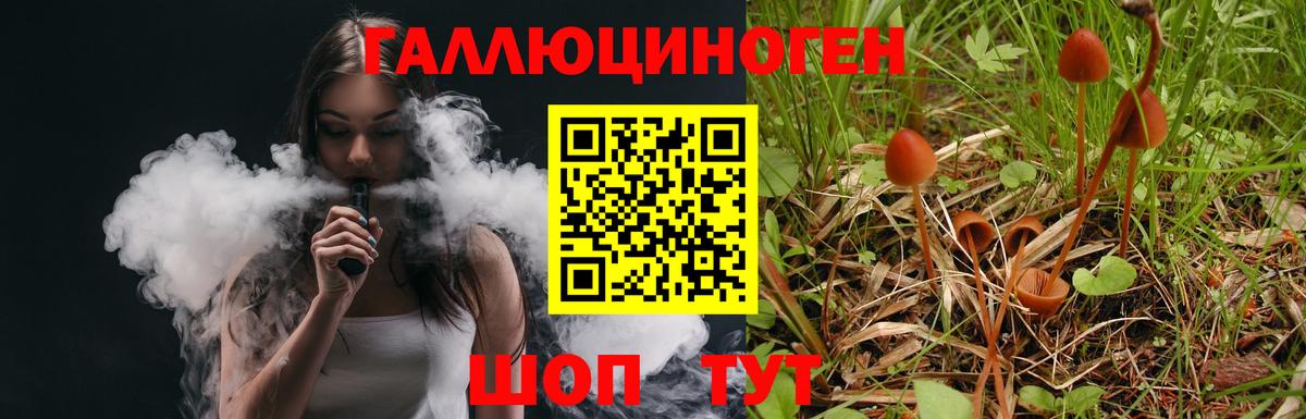 Галлюциногенные грибы Psilocybine cubensis  Вход с VPN  Галлюциногенные грибы ЛСД  Чусовой 